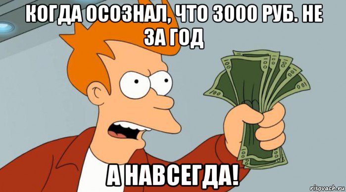 когда осознал, что 3000 руб. не за год а навсегда!