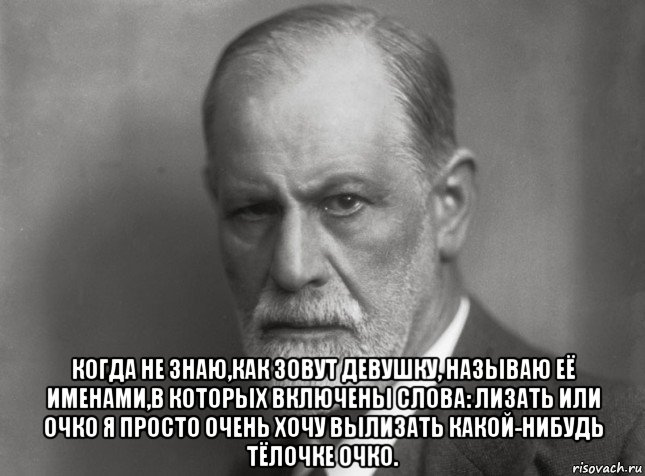  когда не знаю,как зовут девушку, называю её именами,в которых включены слова: лизать или очко я просто очень хочу вылизать какой-нибудь тёлочке очко., Мем  Фрейд