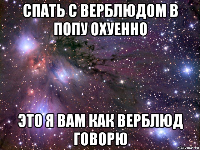 спать с верблюдом в попу охуенно это я вам как верблюд говорю, Мем Космос