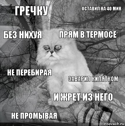 гречку заварил кипятком прям в термосе не промывая не перебирая оставил на 40 мин и жрет из него без нихуя  