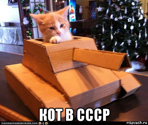  кот в ссср