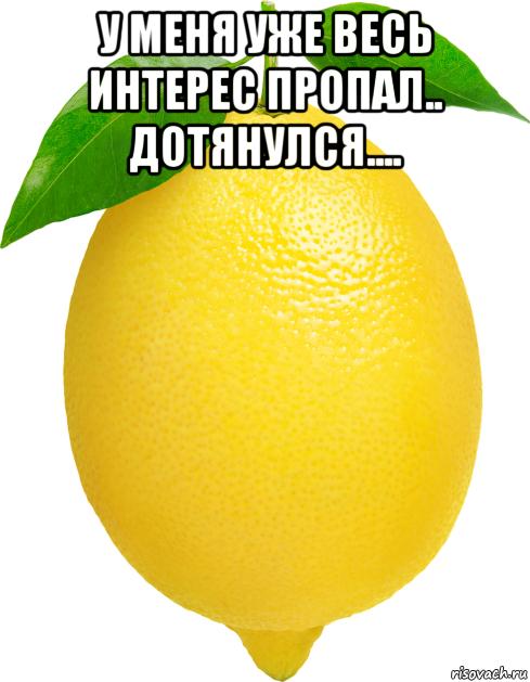 Лимон Мем