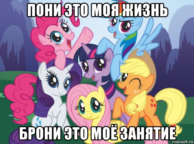 пони это моя жизнь брони это моё занятие, Мем My little pony