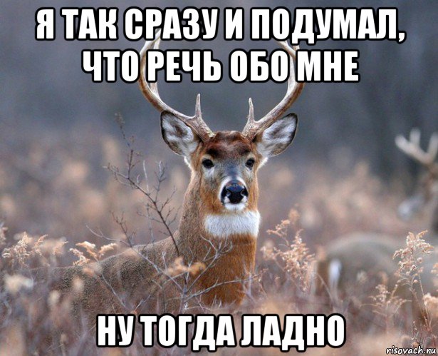 я так сразу и подумал, что речь обо мне ну тогда ладно