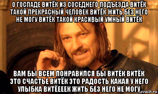 о госпаде витёк из соседнего подъезда витёк такой прекрасный человек витёк жить без него не могу витёк такой красивый умный витёк вам бы всем понравился бы витёк витёк это счастье витёк это радость какая у него улыбка витёееек жить без него не могу, Мем Нельзя просто так взять и (Боромир мем)