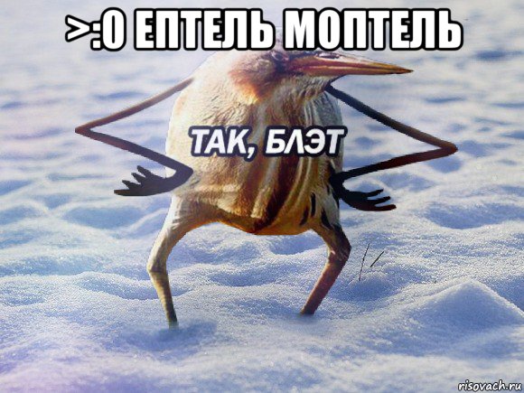 >:0 ептель моптель , Мем  Так блэт птица с руками