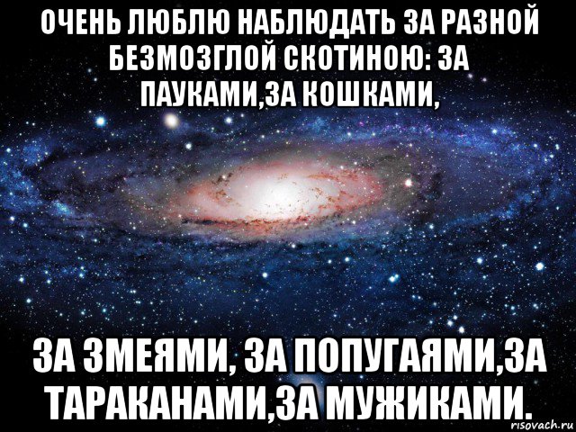 очень люблю наблюдать за разной безмозглой скотиною: за пауками,за кошками, за змеями, за попугаями,за тараканами,за мужиками., Мем Вселенная