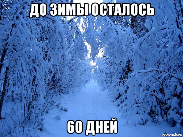 Сколько до зимы