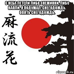 с неба летели либо снежинки, либо капли. я подумал: снегодождь. опять снегодождь. , Мем Хокку