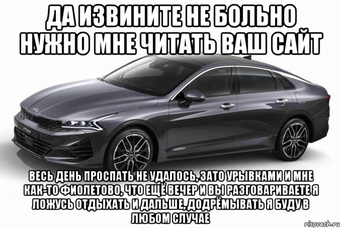 да извините не больно нужно мне читать ваш сайт весь день проспать не удалось, зато урывками и мне как-то фиолетово, что ещё вечер и вы разговариваете я ложусь отдыхать и дальше, додрёмывать я буду в любом случае, Мем Kia Optima