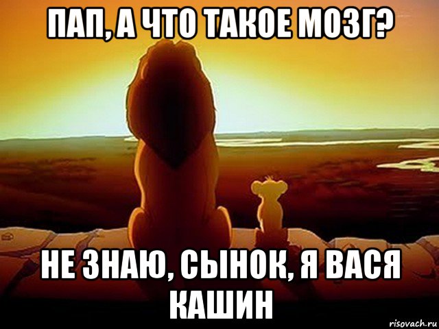 пап, а что такое мозг? не знаю, сынок, я вася кашин