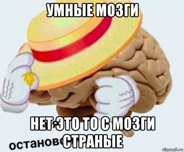 умные мозги нет это то с мозги страные, Мем   Моя остановочка мозг