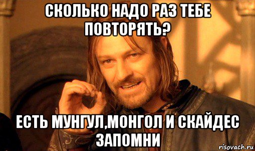 сколько надо раз тебе повторять? есть мунгул,монгол и скайдес запомни, Мем Нельзя просто так взять и (Боромир мем)