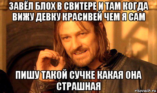 завёл блох в свитере и там когда вижу девку красивей чем я сам пишу такой сучке какая она страшная, Мем Нельзя просто так взять и (Боромир мем)