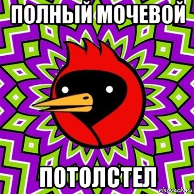 полный мочевой потолстел, Мем Омская птица