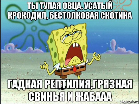 ты тупая овца, усатый крокодил, бестолковая скотина гадкая рептилия,грязная свинья и жабааа, Мем Спанч Боб плачет