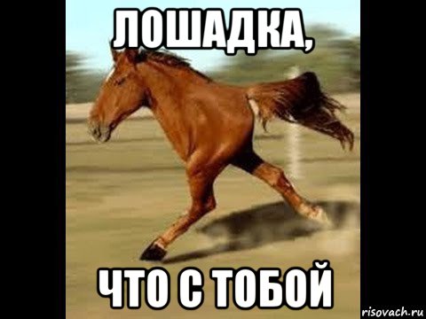 Мем с лошадью почему