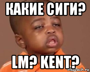 какие сиги? lm? kent?