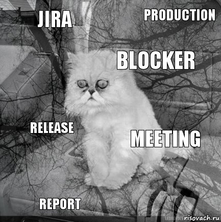 jira meeting blocker report release production    , Комикс  кот безысходность
