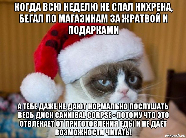 когда всю неделю не спал нихрена, бегал по магазинам за жратвой и подарками а тебе даже не дают нормально послушать весь диск cannibal corpse - потому что это отвлекает от приготовления еды и не даёт возможности читать!