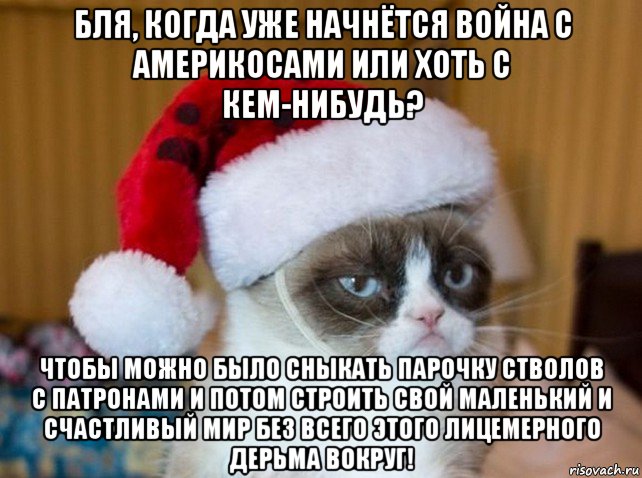 бля, когда уже начнётся война с америкосами или хоть с кем-нибудь? чтобы можно было сныкать парочку стволов с патронами и потом строить свой маленький и счастливый мир без всего этого лицемерного дерьма вокруг!, Мем   Новогодний угрюмый кот