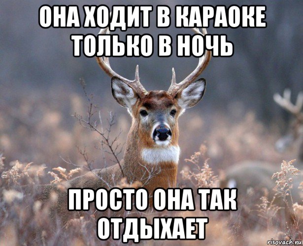 она ходит в караоке только в ночь просто она так отдыхает, Мем   Наивный олень