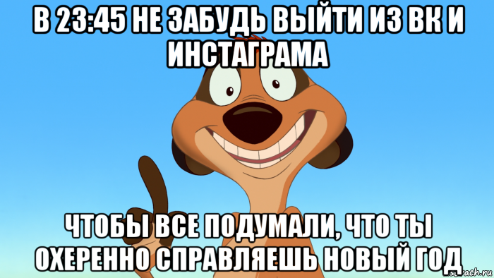 в 23:45 не забудь выйти из вк и инстаграма чтобы все подумали, что ты охеренно справляешь новый год, Мем Тимон советует