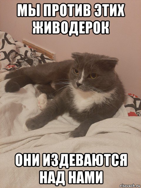 Издеваешься надо мной. Да они над нами издеваются. Я издеваюсь.