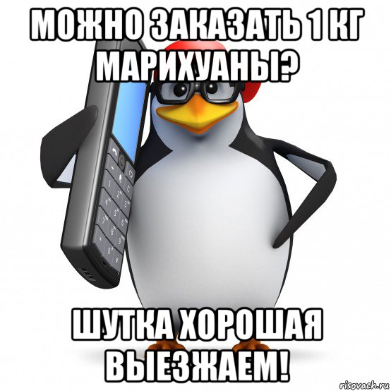 можно заказать 1 кг марихуаны? шутка хорошая выезжаем!, Мем   Пингвин звонит