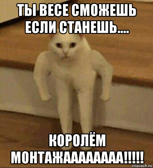 ты весе сможешь если станешь.... королём монтажаааааааа!!!!!, Мем  Полукот