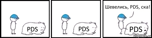 PDS PDS PDS Шевелись, PDS, ска!