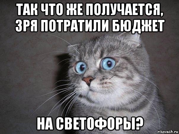 так что же получается, зря потратили бюджет на светофоры?