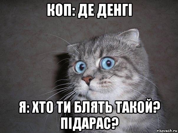 коп: де денгі я: хто ти блять такой? підарас?