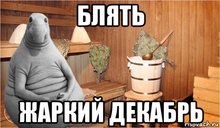 блять жаркий декабрь