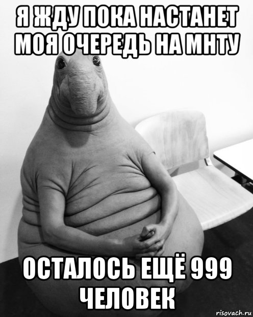 я жду пока настанет моя очередь на мнту осталось ещё 999 человек, Мем  Ждун