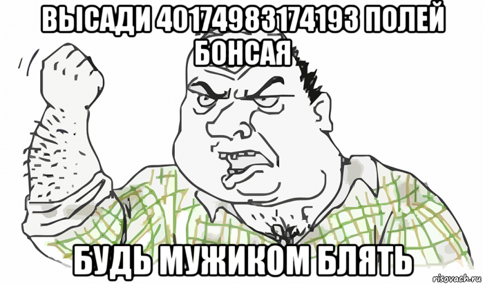 высади 40174983174193 полей бонсая будь мужиком блять, Мем Будь мужиком