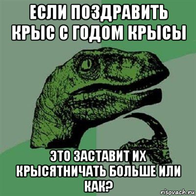 если поздравить крыс с годом крысы это заставит их крысятничать больше или как?, Мем Филосораптор