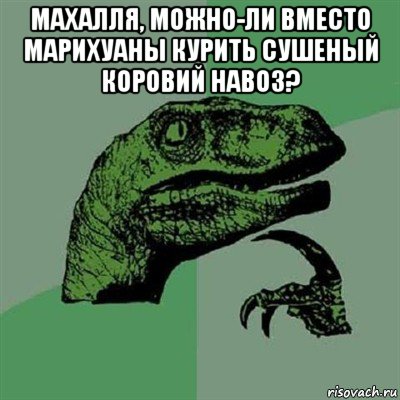 махалля, можно-ли вместо марихуаны курить сушеный коровий навоз? , Мем Филосораптор