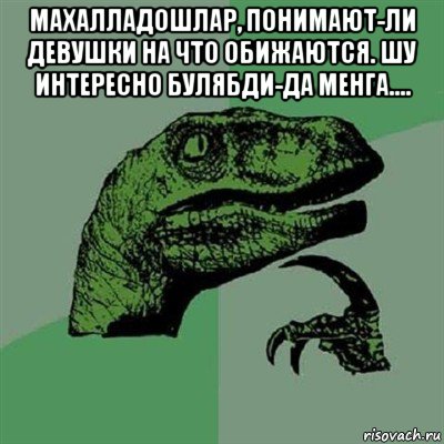 махалладошлар, понимают-ли девушки на что обижаются. шу интересно булябди-да менга.... , Мем Филосораптор