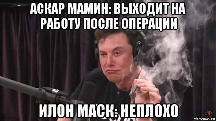 аскар мамин: выходит на работу после операции илон маск: неплохо, Мем Илон Маск