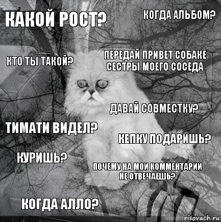 какой рост? кепку подаришь? передай привет собаке сестры моего соседа когда Алло? Тимати видел? когда альбом? почему на мои комментарии не отвечаешь? кто ты такой? куришь? давай совместку?