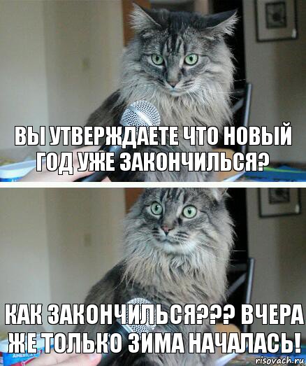 Вы утверждаете что Новый Год уже закончилься? Как закончилься??? Вчера же только зима началась!