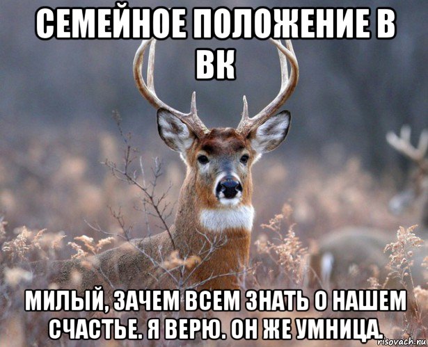 семейное положение в вк милый, зачем всем знать о нашем счастье. я верю. он же умница.