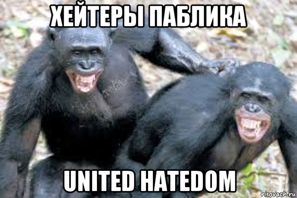 хейтеры паблика united hatedom