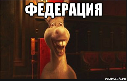 федерация 