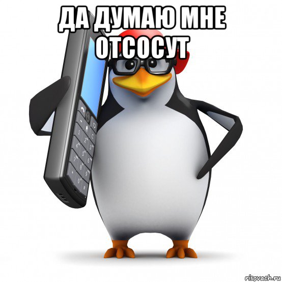 да думаю мне отсосут , Мем   Пингвин звонит