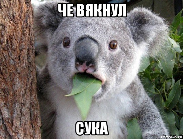 че вякнул сука