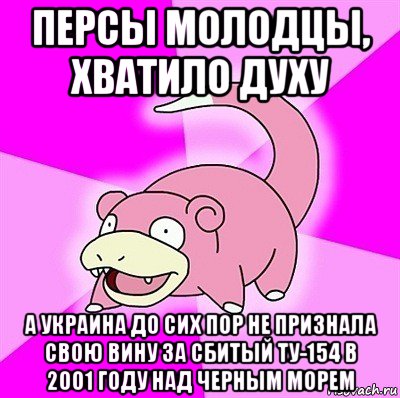 персы молодцы, хватило духу а украина до сих пор не признала свою вину за сбитый ту-154 в 2001 году над черным морем, Мем слоупок