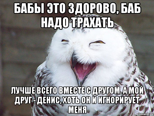 бабы это здорово, баб надо трахать лучше всего вместе с другом. а мой друг - денис, хоть он и игнорирует меня