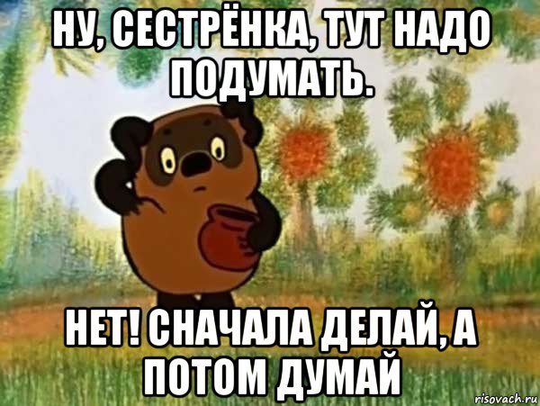 ну, сестрёнка, тут надо подумать. нет! сначала делай, а потом думай, Мем Винни пух чешет затылок